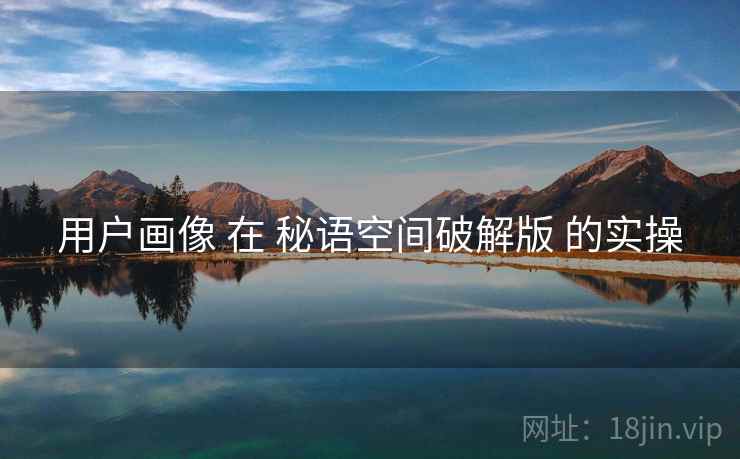用户画像 在 秘语空间破解版 的实操