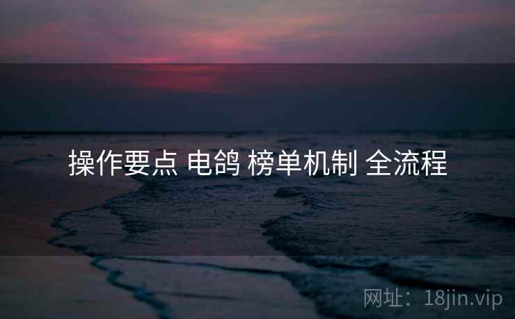 操作要点 电鸽 榜单机制 全流程