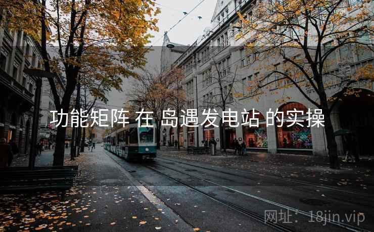 功能矩阵 在 岛遇发电站 的实操